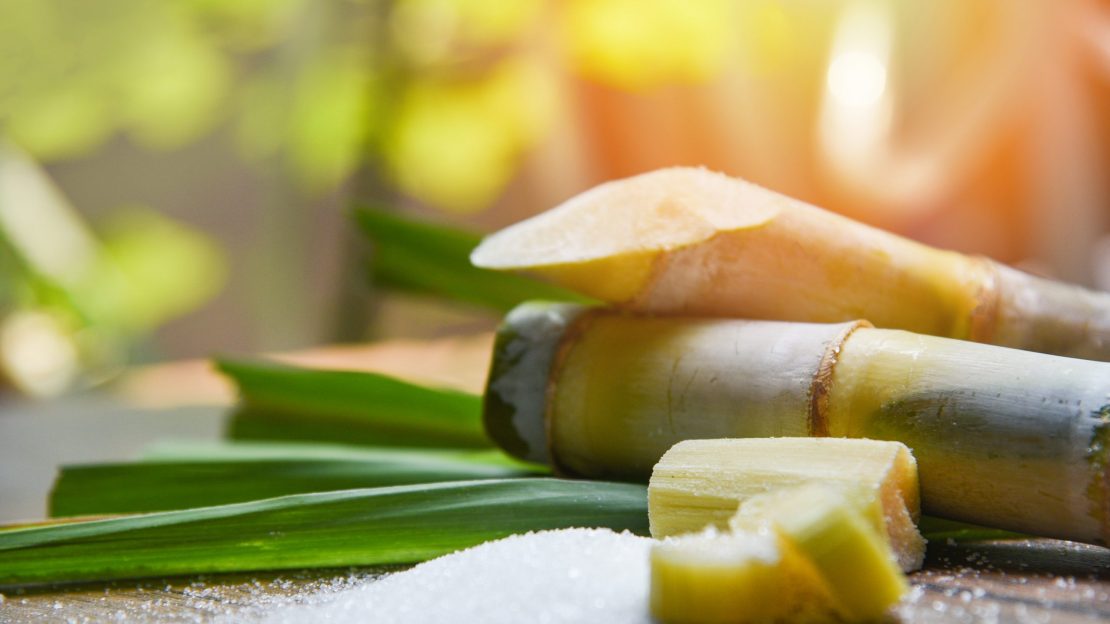 White sugar and sugar cane on wooden  table and nature background