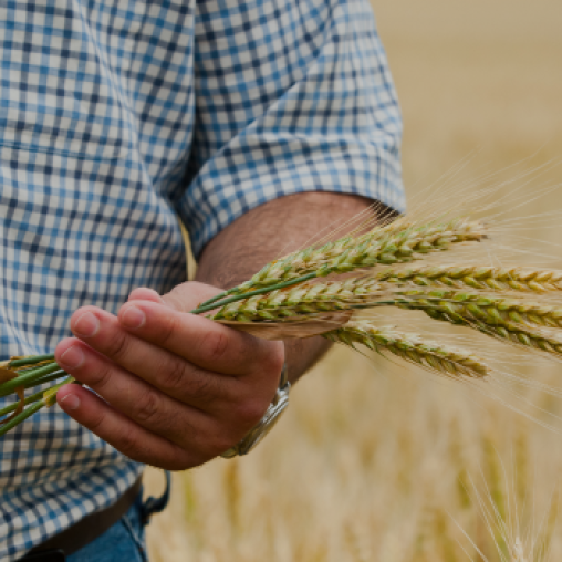Línea atención medioambiental