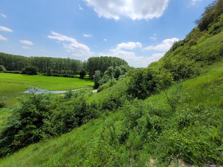 Tereos signe un partenariat avec le Conservatoire des Espaces Naturels des Hauts de France sur son site d’Origny