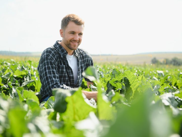 Tereos valorise l’engagement de ses coopérateurs vers une agriculture régénératrice ou bas carbone avec une prime filière de plus de 800 000 €