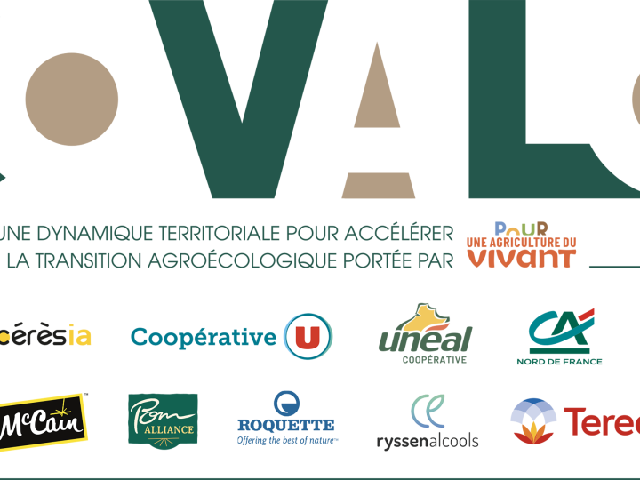 COVALO Hauts-de-France : Tereos rejoint une coalition territoriale pour sécuriser la transition des agriculteurs