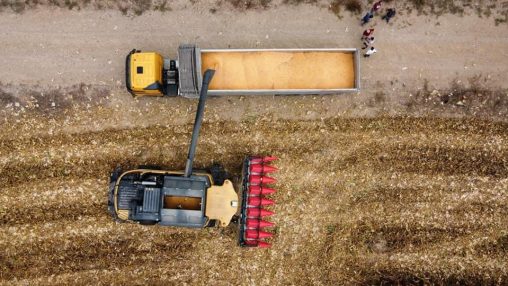 Nuestra Materia Prima