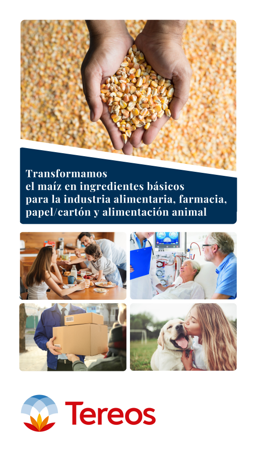 Nuestros Productos