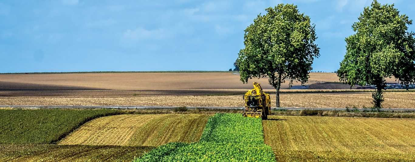 Développement durable : les engagements RSE de Tereos