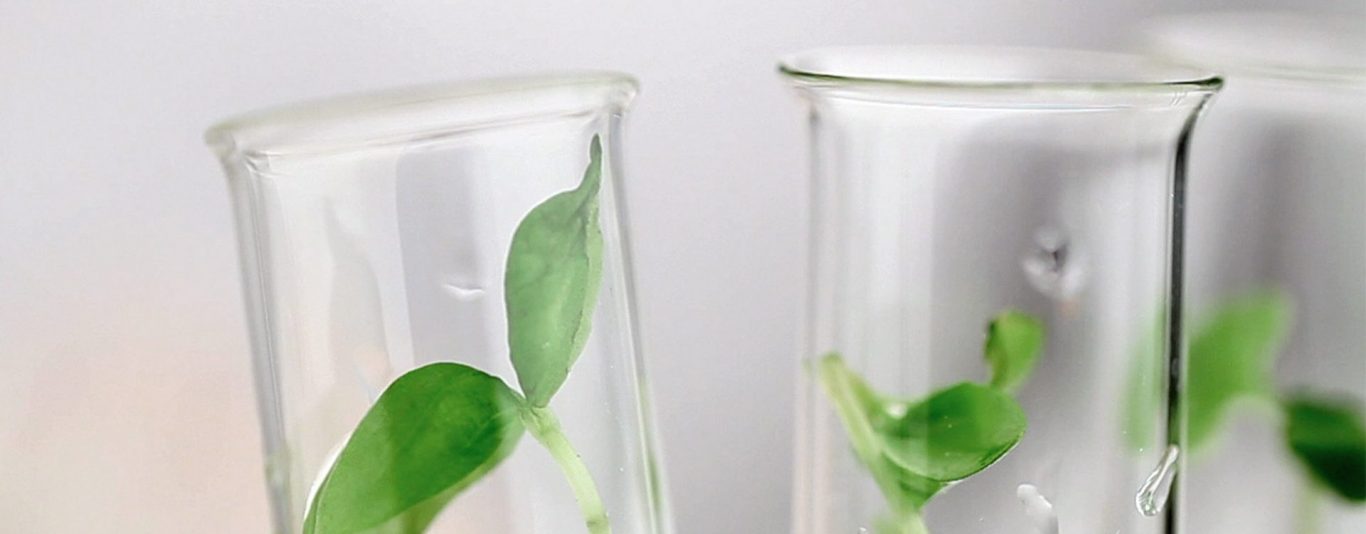 Cover-Innovation-Chimie