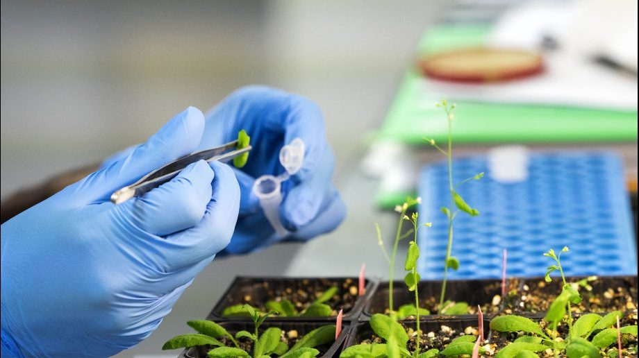 Image-Innovation-Chimie-1