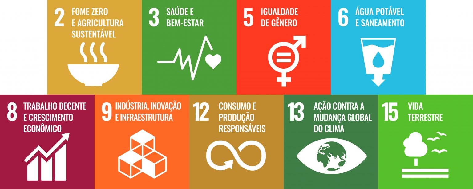 SUSTENTABILIDADE 2030: ações sustentáveis de ponta a ponta em nossa ...