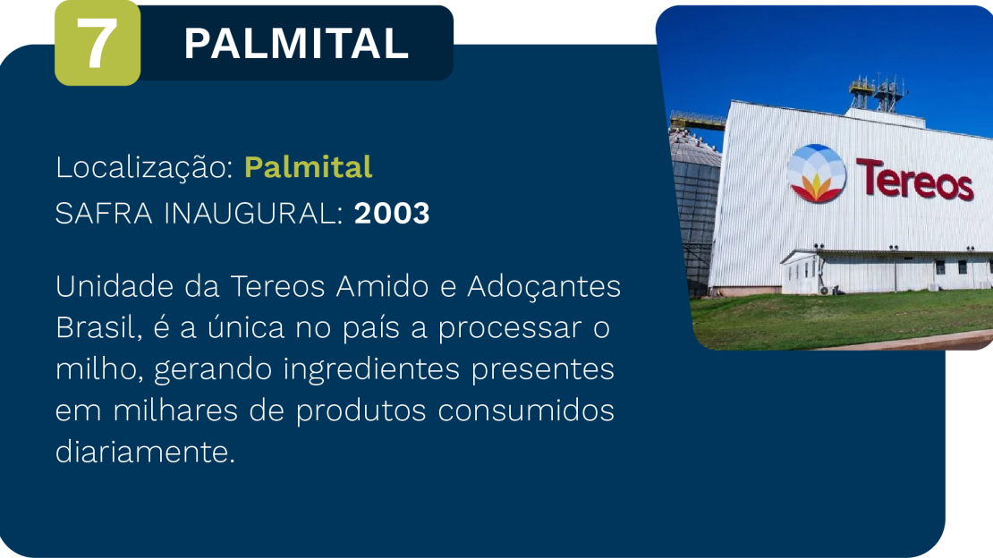 Palmital