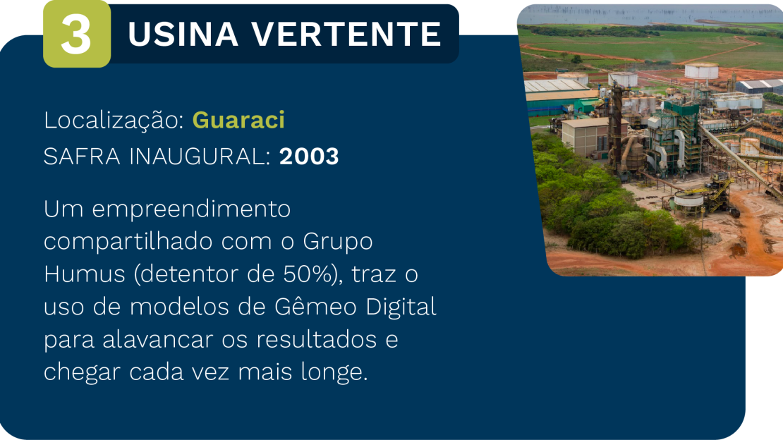 Vertente