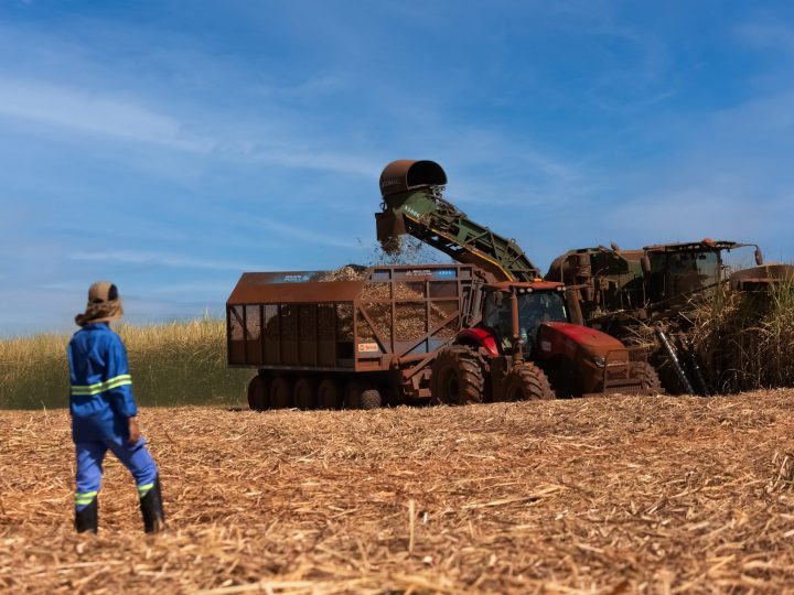Tereos lança Relatório de Sustentabilidade 24/25 e reforça compromisso com a descarbonização e a agricultura regenerativa