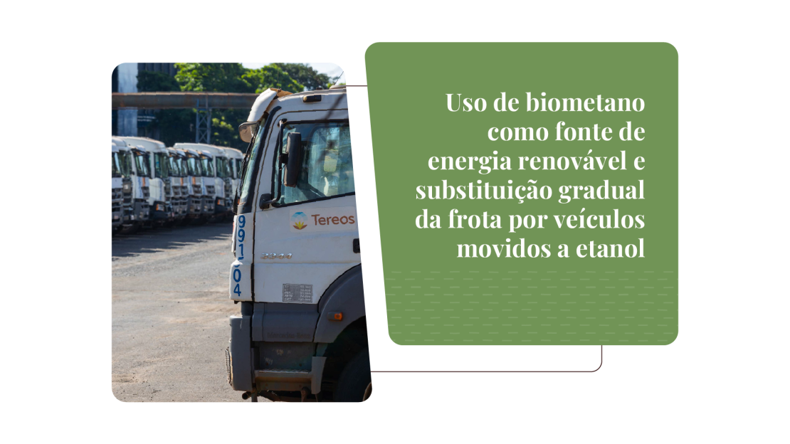 Tereos_Relatório de Sustentabilidade 2025_OnePage v3_20
