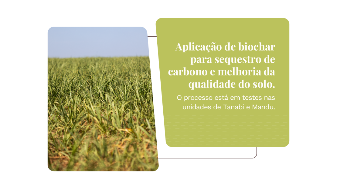 Tereos_Relatório de Sustentabilidade 2025_OnePage v3_21