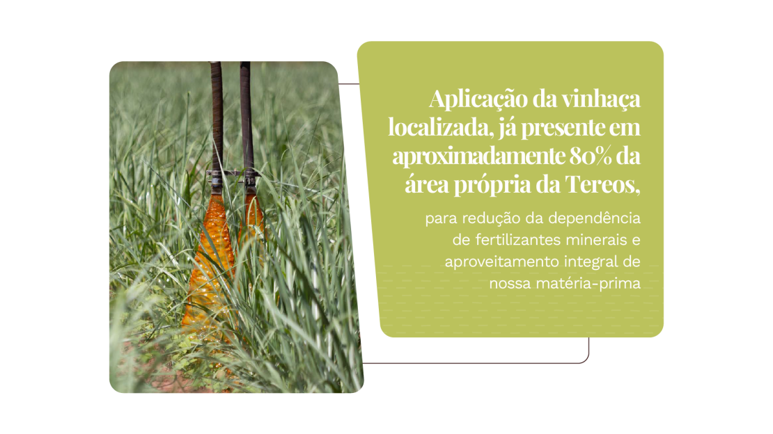 Tereos_Relatório de Sustentabilidade 2025_OnePage v3_24