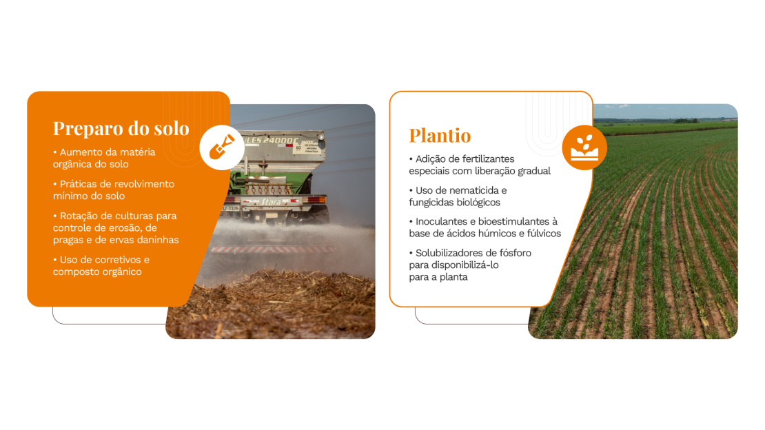 Tereos_Relatório de Sustentabilidade 2025_OnePage v3_26