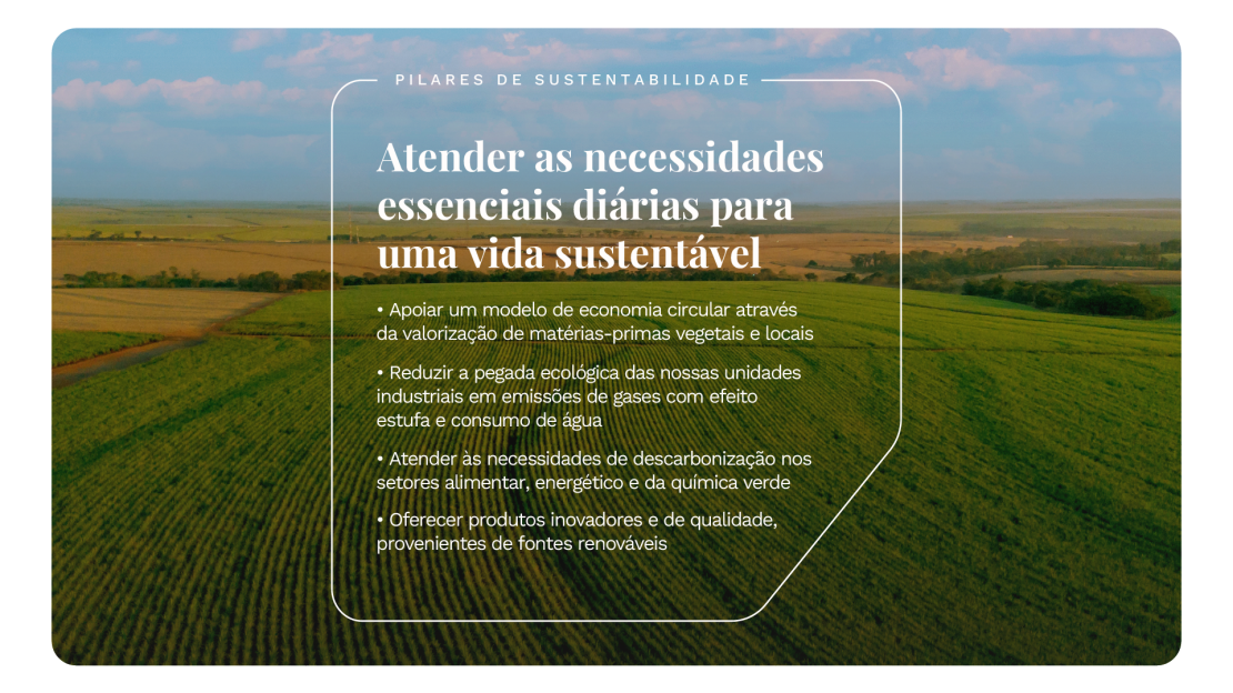 Tereos_Relatório de Sustentabilidade 2025_OnePage v3_32