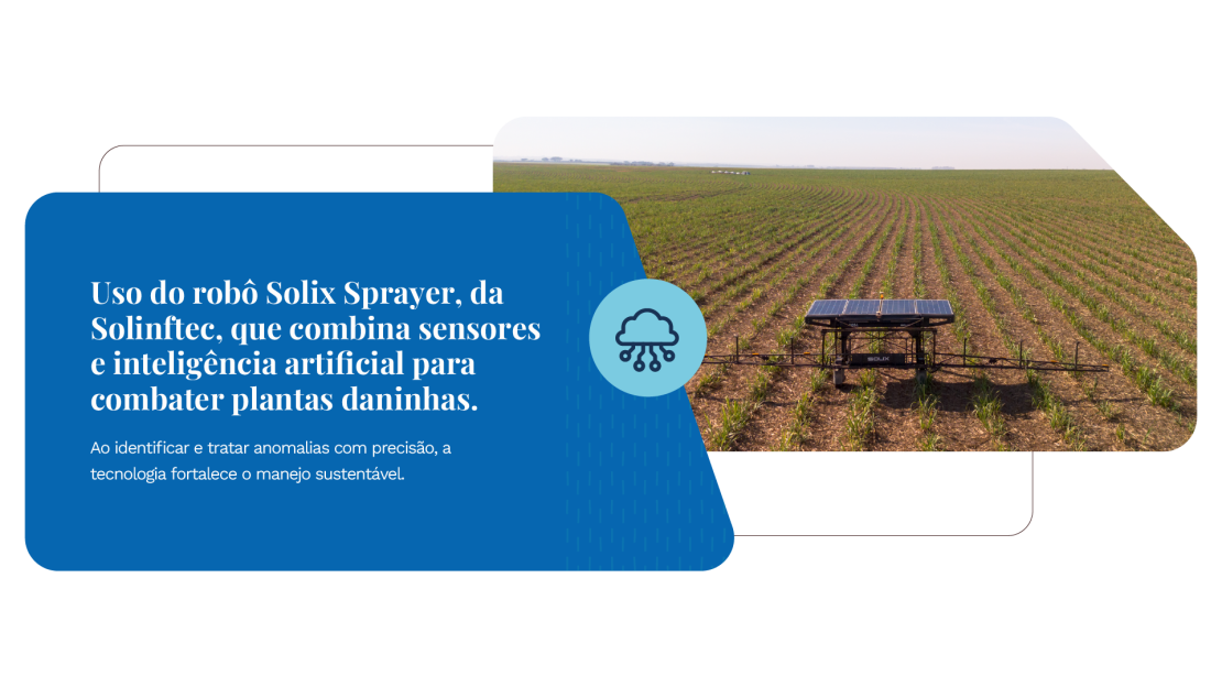 Tereos_Relatório de Sustentabilidade 2025_OnePage v3_36