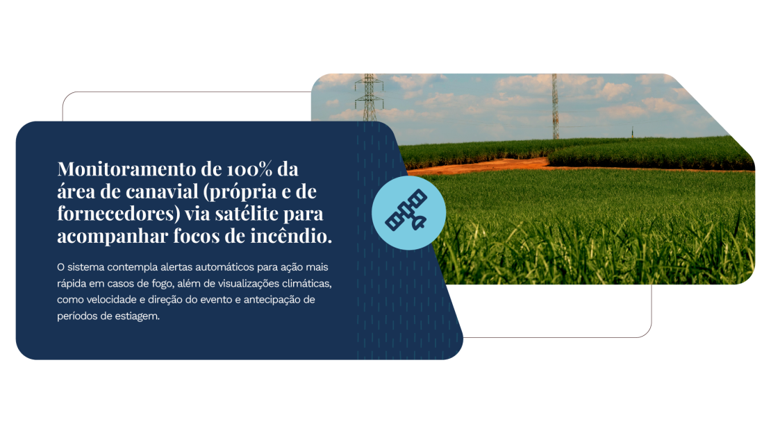 Tereos_Relatório de Sustentabilidade 2025_OnePage v3_37