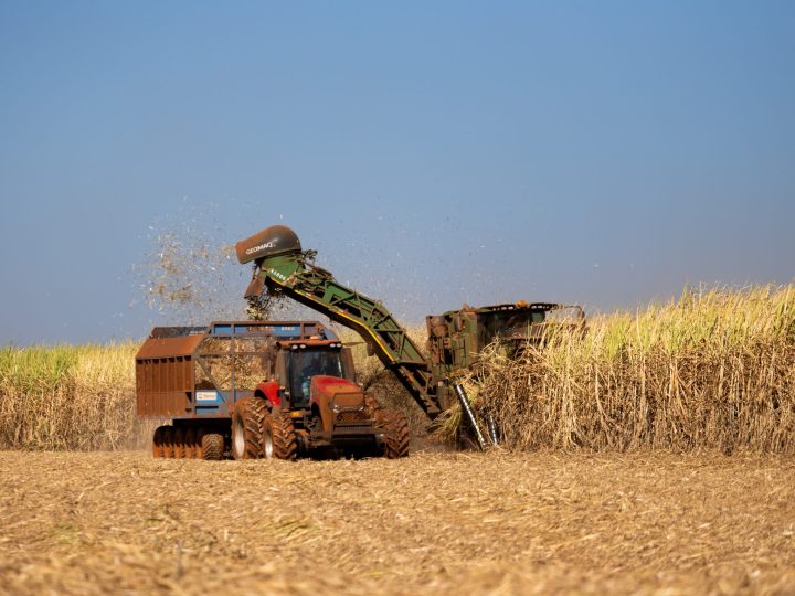 Tereos recebe certificação Regenagri e se torna a segunda empresa do setor sucroenergético a ser reconhecida por práticas de agricultura regenerativa