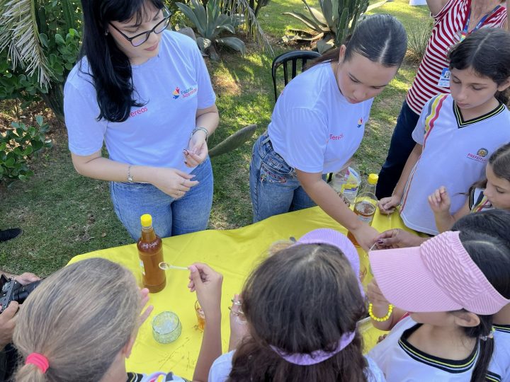 No mês que celebra o Dia Mundial da Abelha, Tereos e Syngenta inauguram meliponário e promovem ação educativa para crianças em Olímpia (SP)