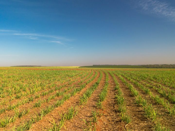 Tereos mapeia 162 mil hectares e estrutura novo modelo de manejo de solo para ampliar produtividade no campo